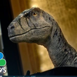 Dinosaur To United Nations: 'Going Extinct Is A Bad Thing'