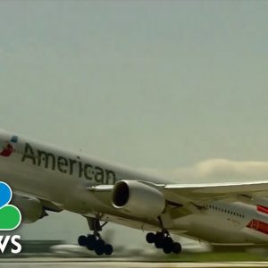 American Airlines Flight Makes Emergency Landing After Passenger Assaults Attendant