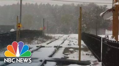 Millions Under Frost And Freeze Alerts Across U.S.